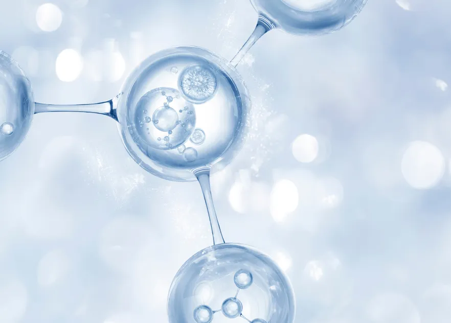 仕事内容のイメージ